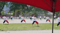P1060385.JPG
