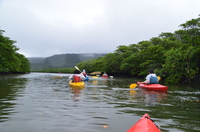 DSC_6725.JPG