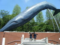 DSCF3897.JPG