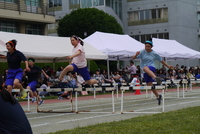 P1070957.JPG