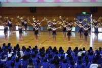 P1090006.JPG
