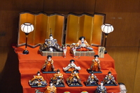 P1090020.JPG