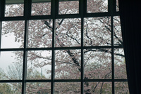 P1090255.JPG