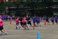 aP1090772.JPG