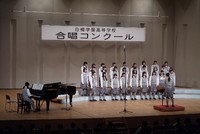 106.jpg