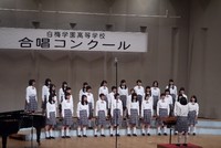 203.jpgのサムネイル画像