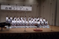 205.jpgのサムネイル画像