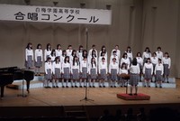 209.jpgのサムネイル画像
