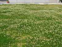 5-14-2.jpg
