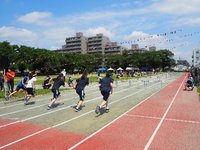T3-1.jpg