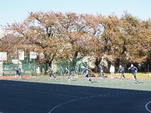 2-9.jpg