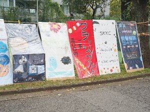 20241024-2.jpg