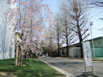 2014nyugaku01.jpg